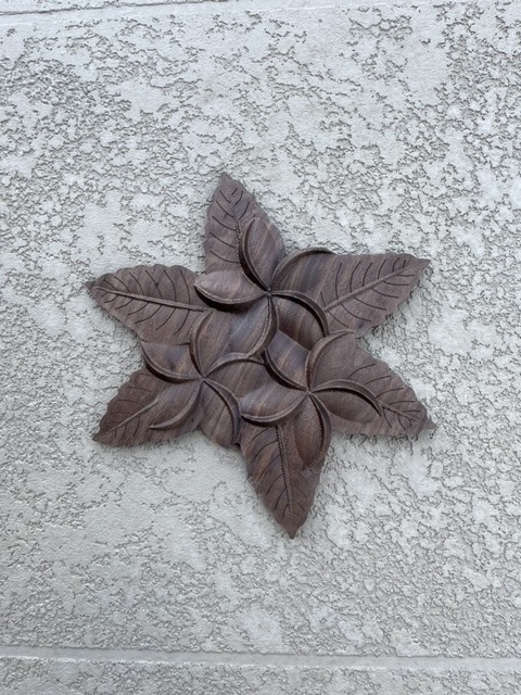 Plumeria Hawaiian flower artwork - Image 2