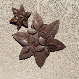 Plumeria Hawaiian flower artwork