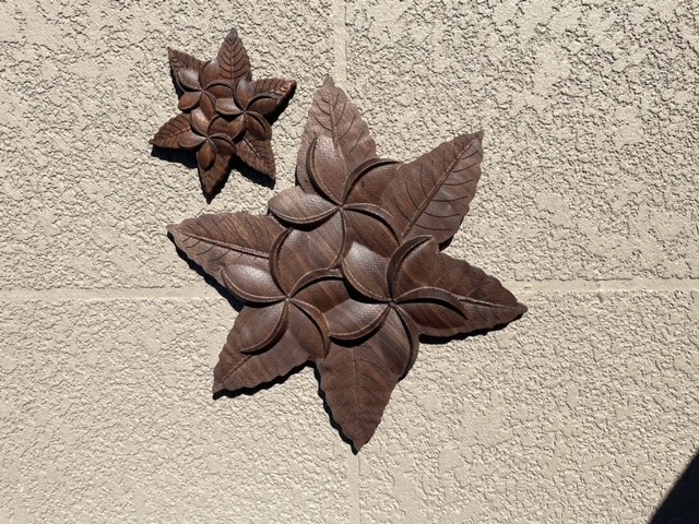 Plumeria Hawaiian flower artwork