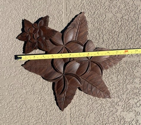 Plumeria Hawaiian flower artwork - Image 3