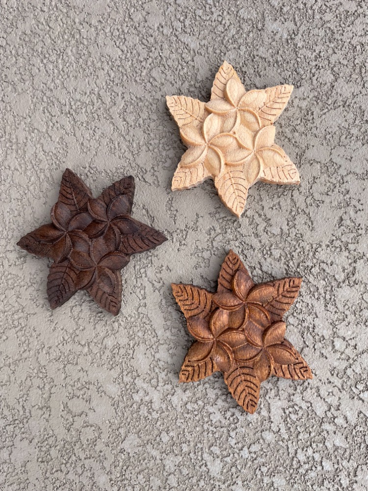 Plumeria Hawaiian flower artwork - Image 4