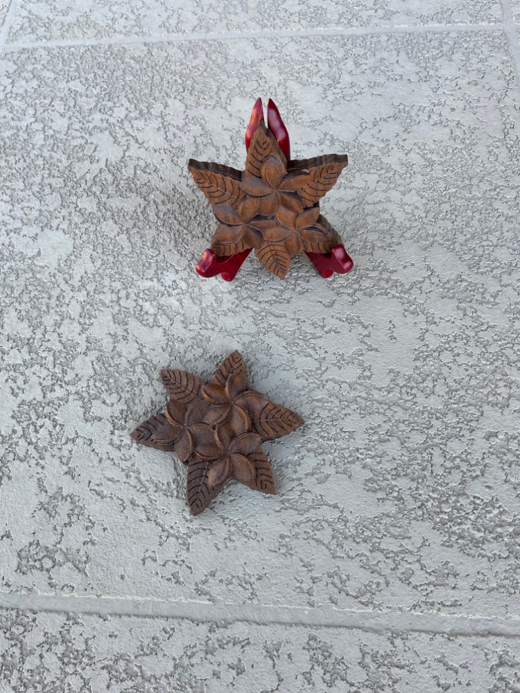 Plumeria Hawaiian flower artwork - Image 5