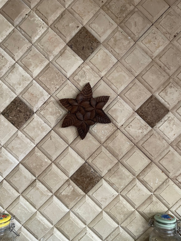 Plumeria Hawaiian flower artwork - Image 8