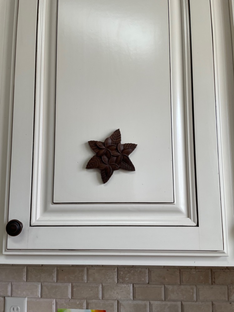 Plumeria Hawaiian flower artwork - Image 9