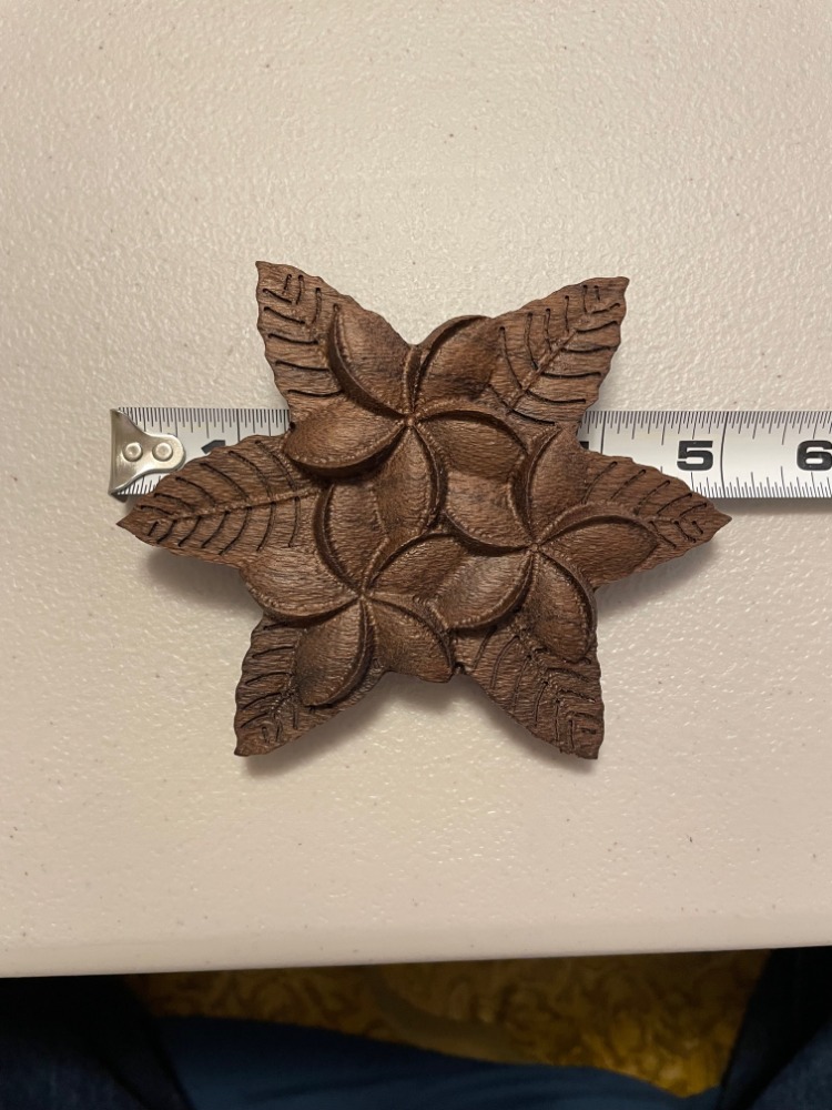 Plumeria Hawaiian flower artwork - Image 10